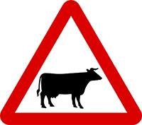 آزمون آیین نامه اصلی شماره 1 – راننده شو